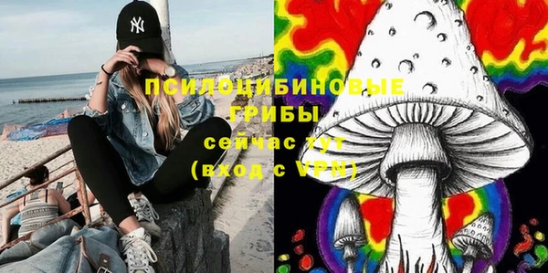 стаф Балахна