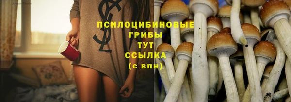 стаф Балахна