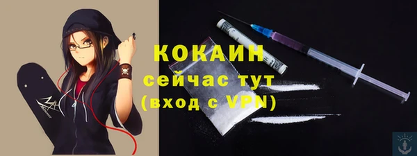 стаф Балахна