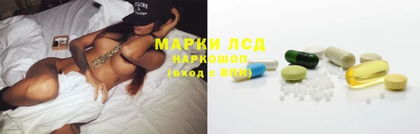стаф Балахна