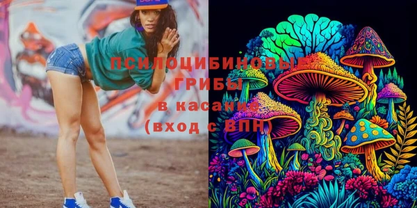 стаф Балахна